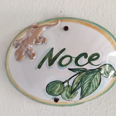 Alojamento de Acomodação e Pequeno-almoço Il Geco 3*